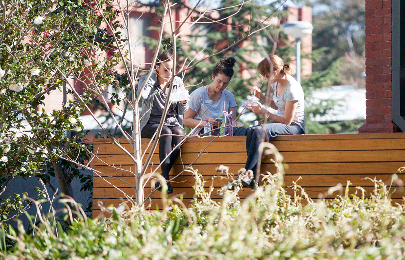 website1400x900_0007_22