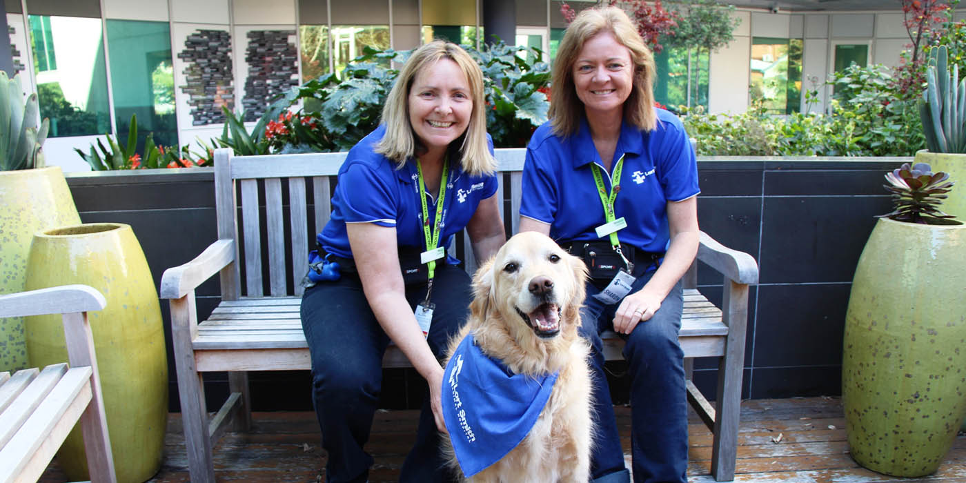 marilyn lulu and sharon 1400x700