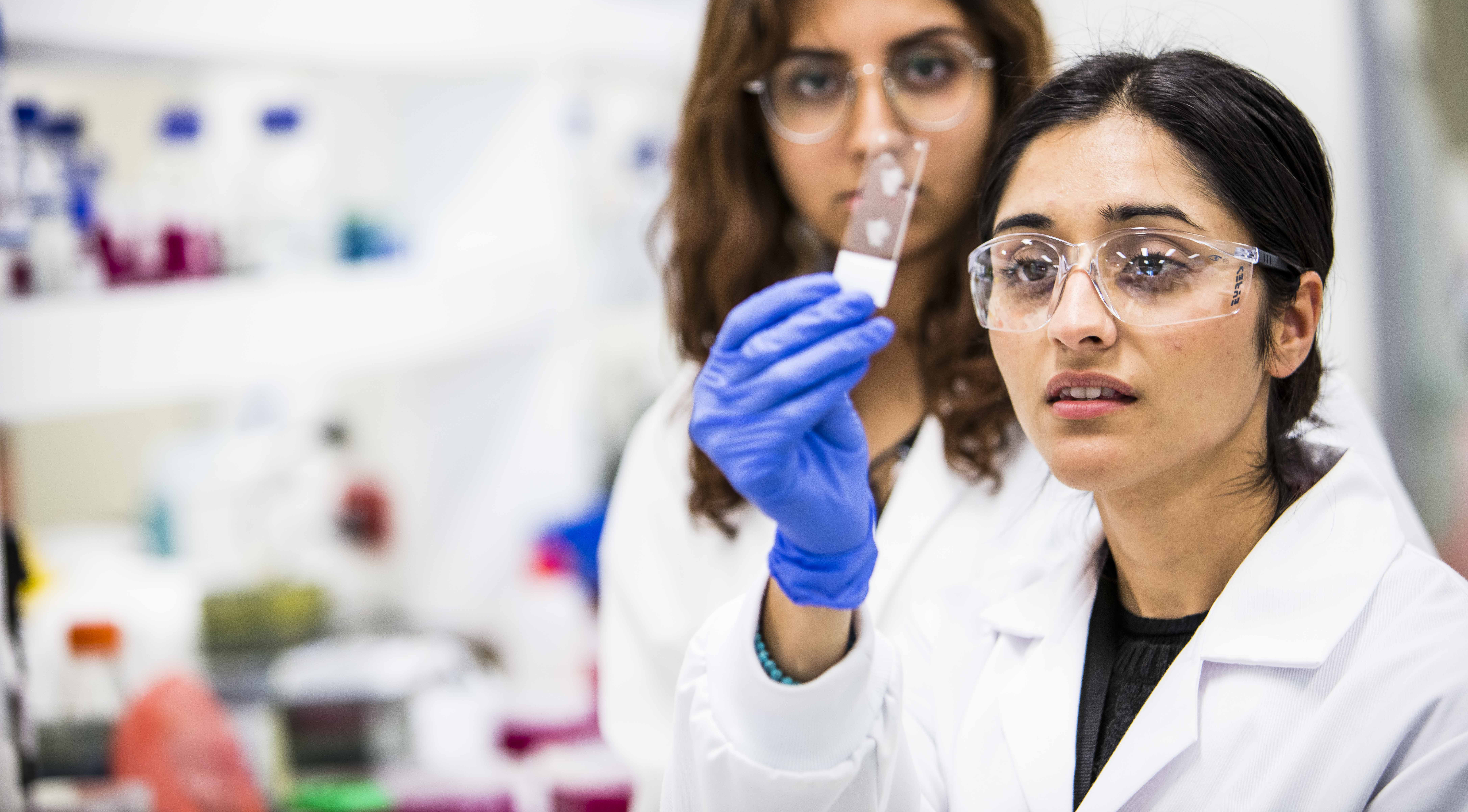 ONJCRI_Website_LowRes_353_TopCrop